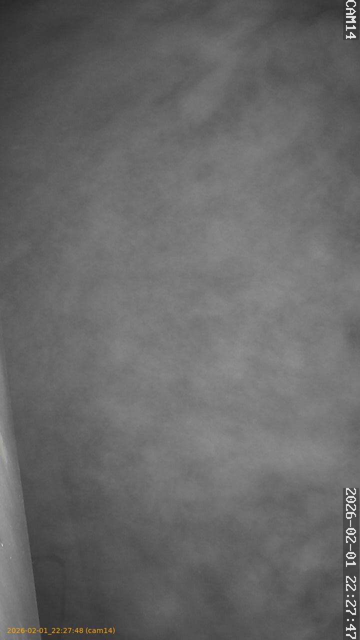 thumbnail_20260201222748