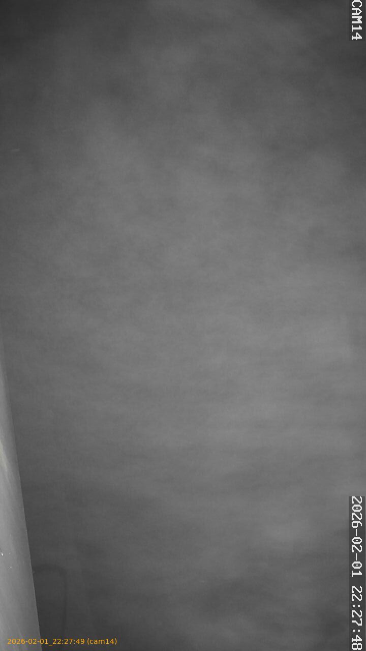 thumbnail_20260201222749