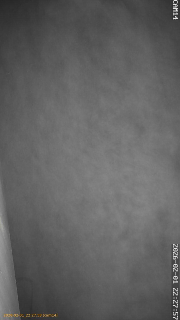 thumbnail_20260201222758