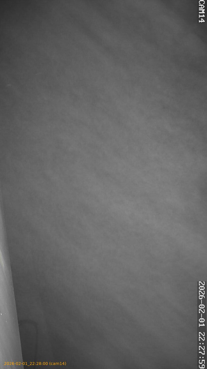 thumbnail_20260201222800