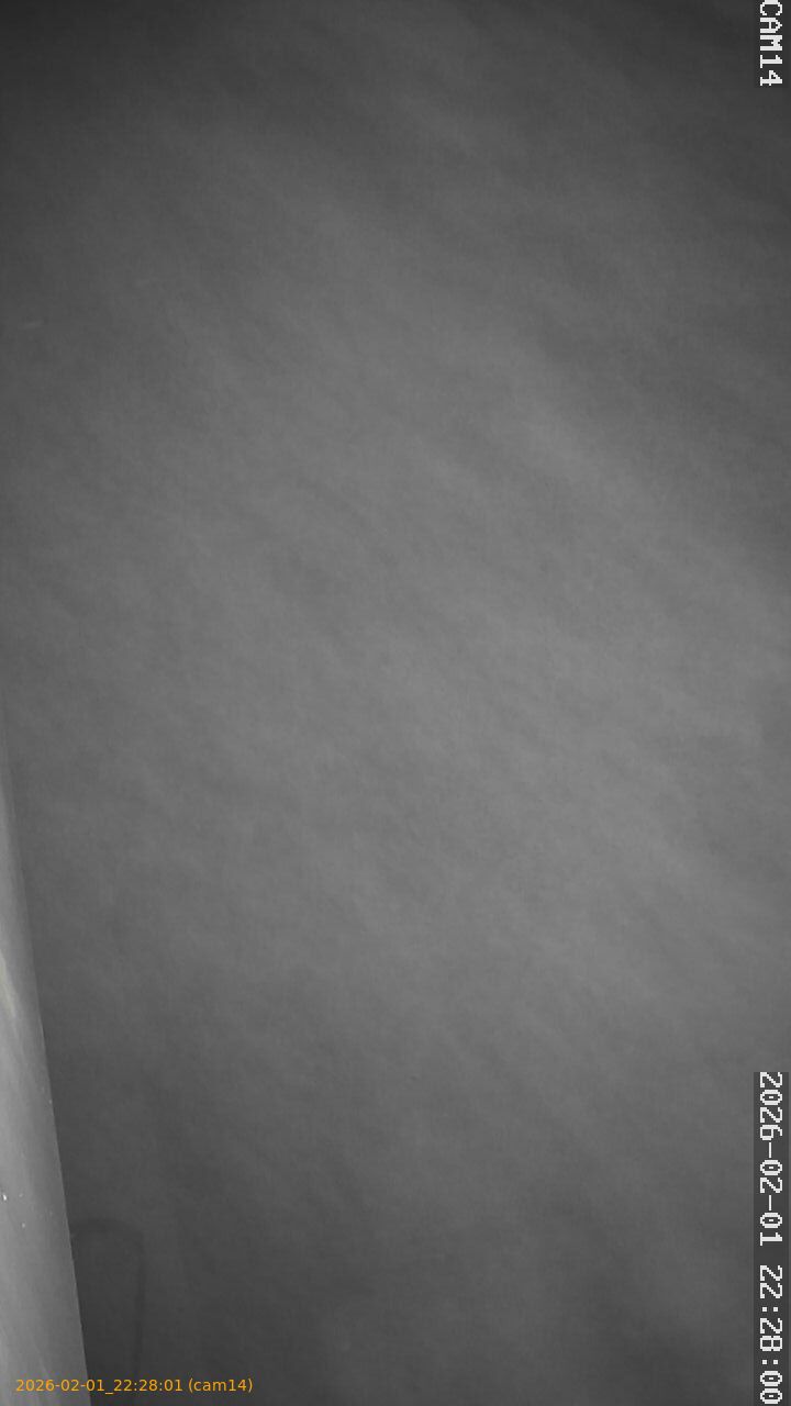 thumbnail_20260201222801