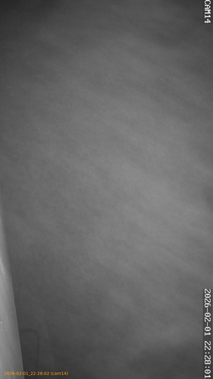 thumbnail_20260201222802