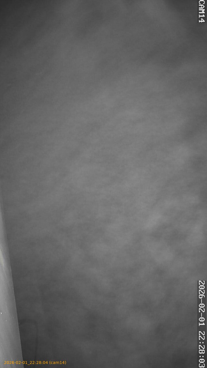 thumbnail_20260201222804