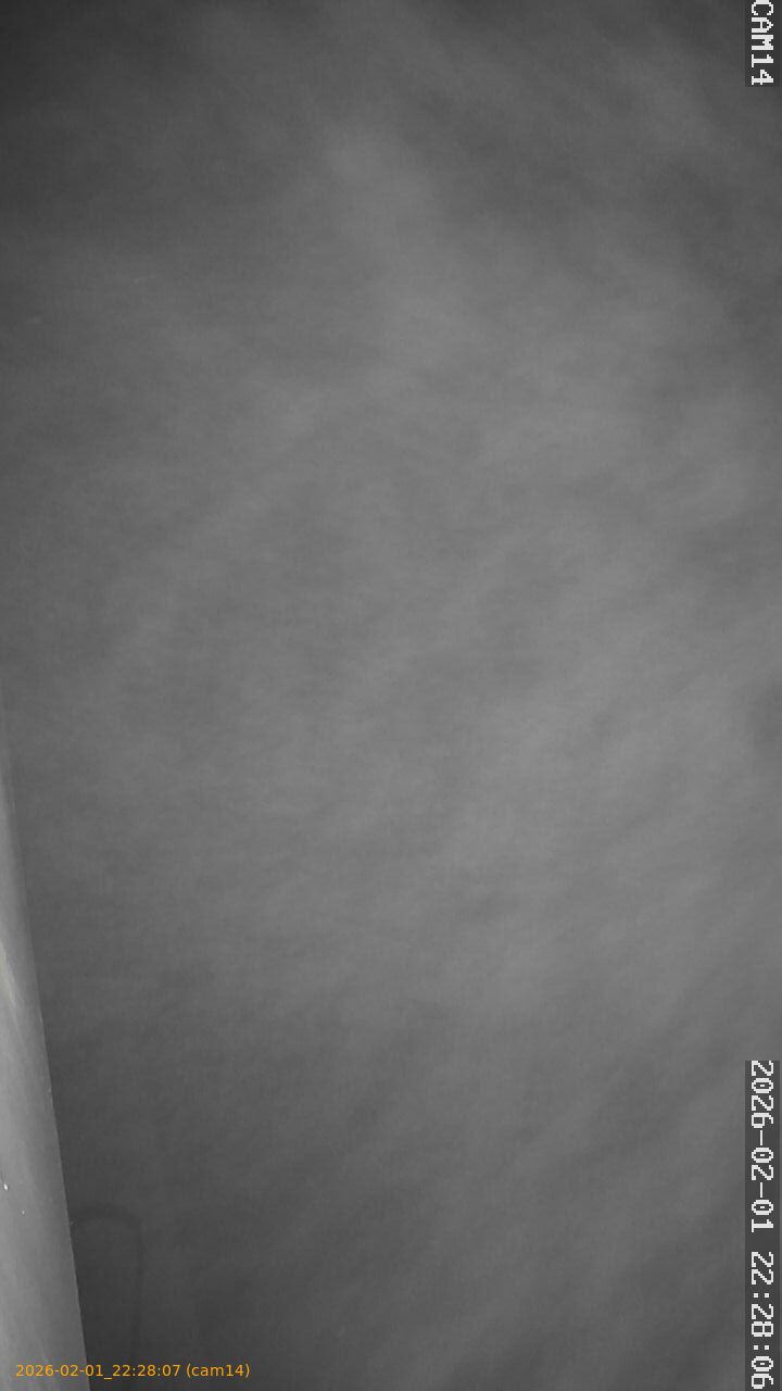 thumbnail_20260201222807