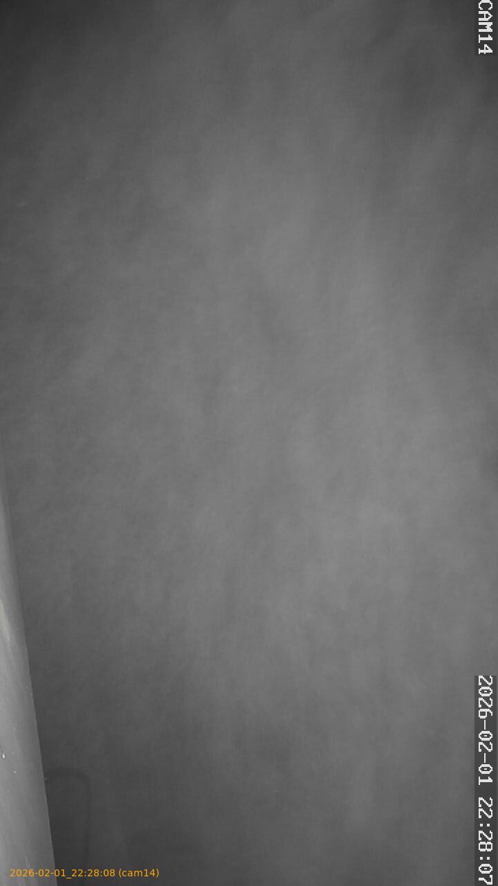 thumbnail_20260201222808