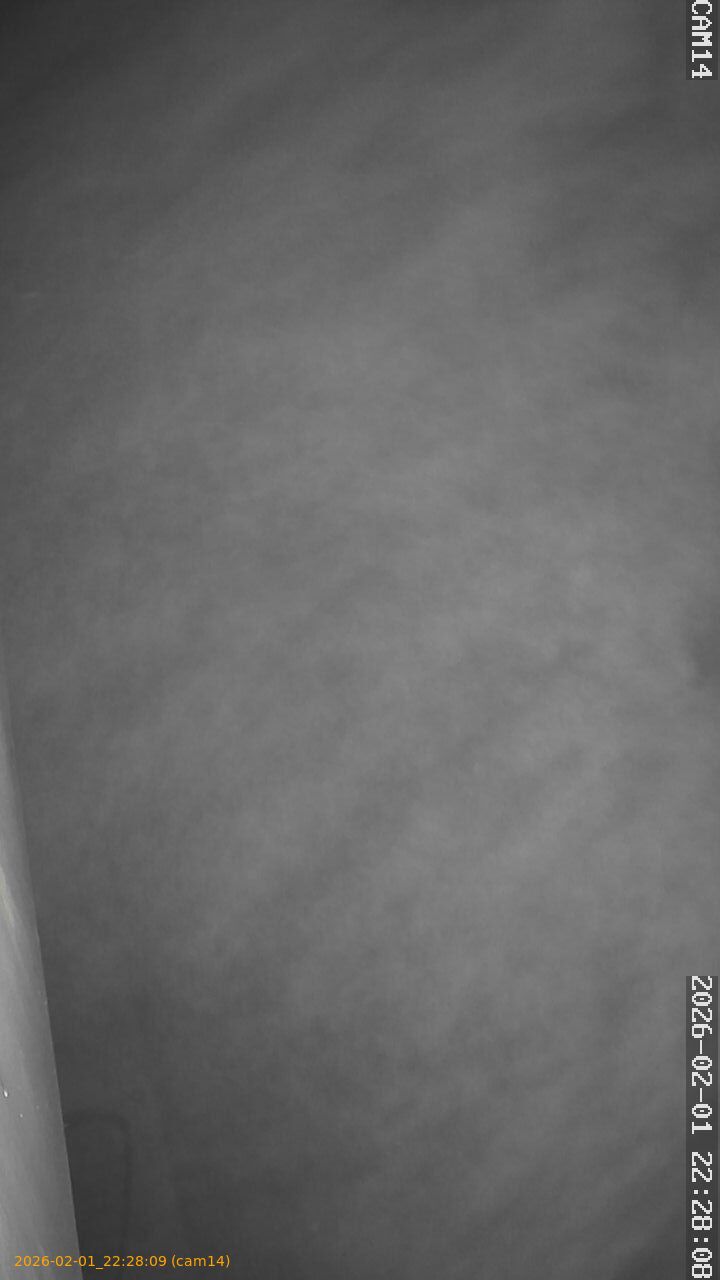 thumbnail_20260201222809