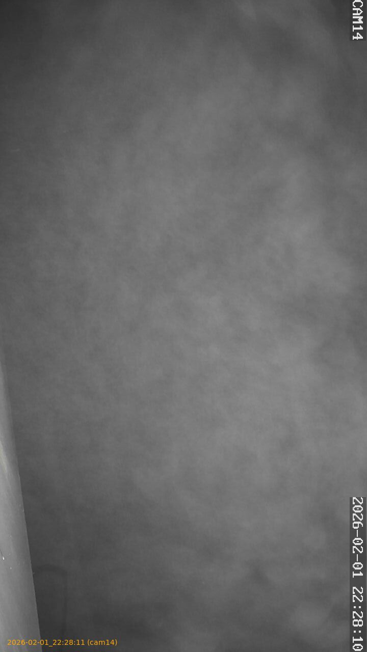 thumbnail_20260201222811