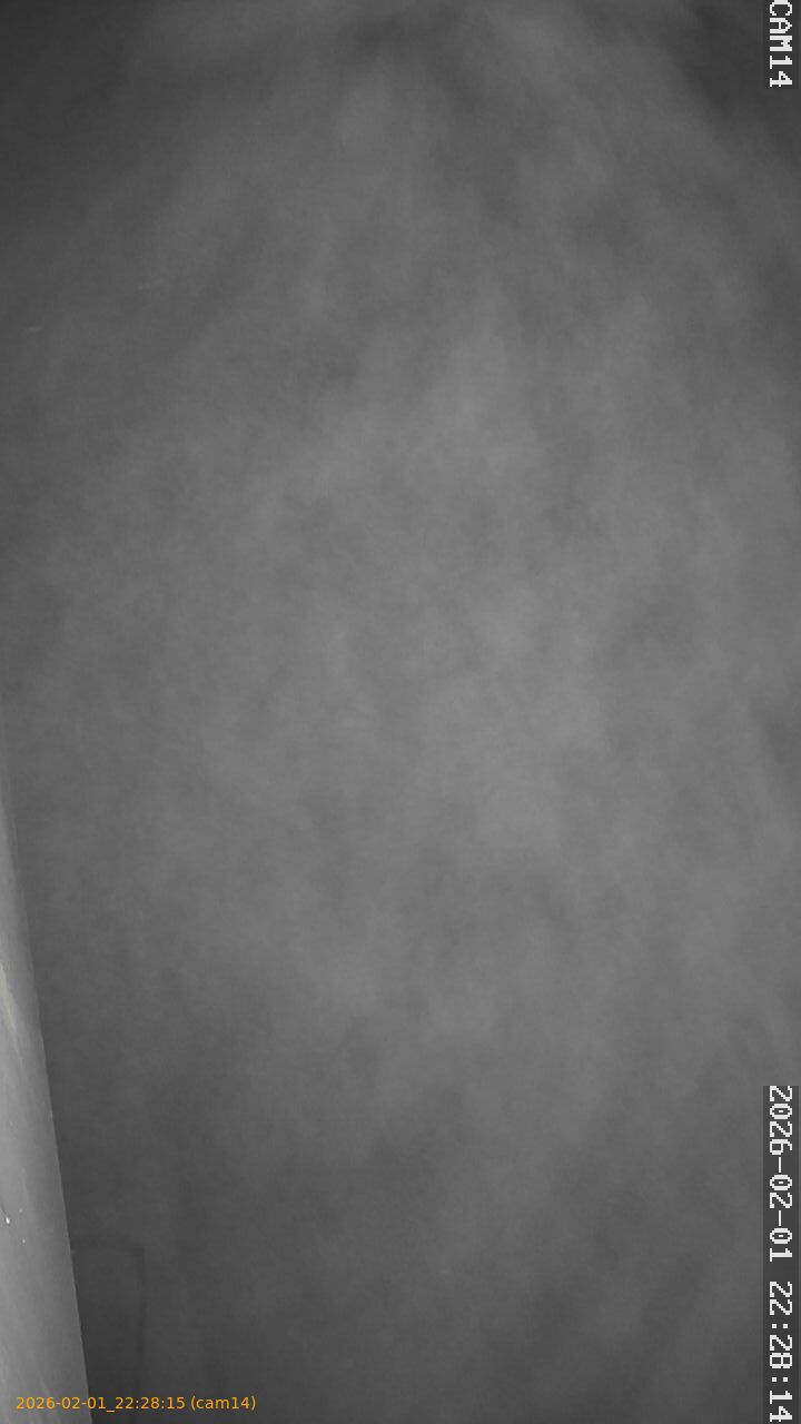 thumbnail_20260201222815