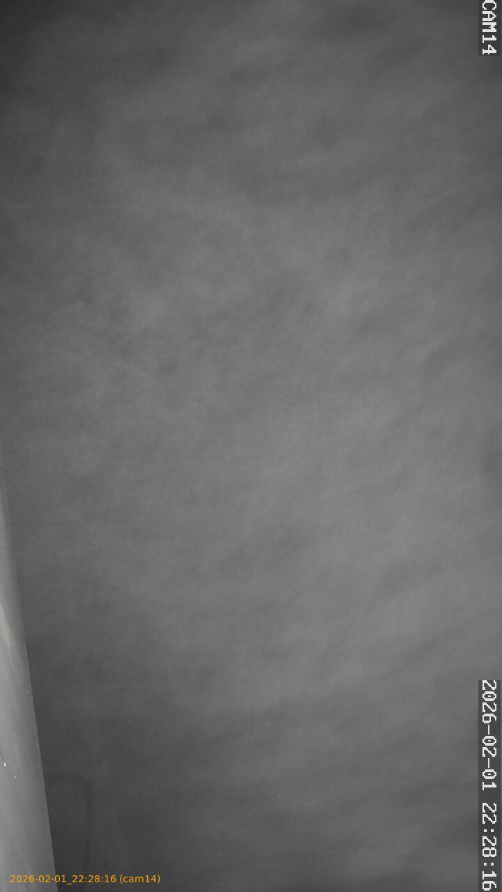 thumbnail_20260201222816