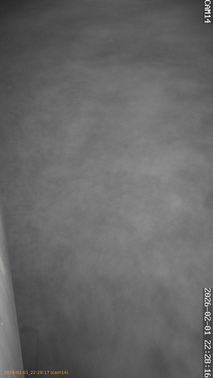 thumbnail_20260201222817