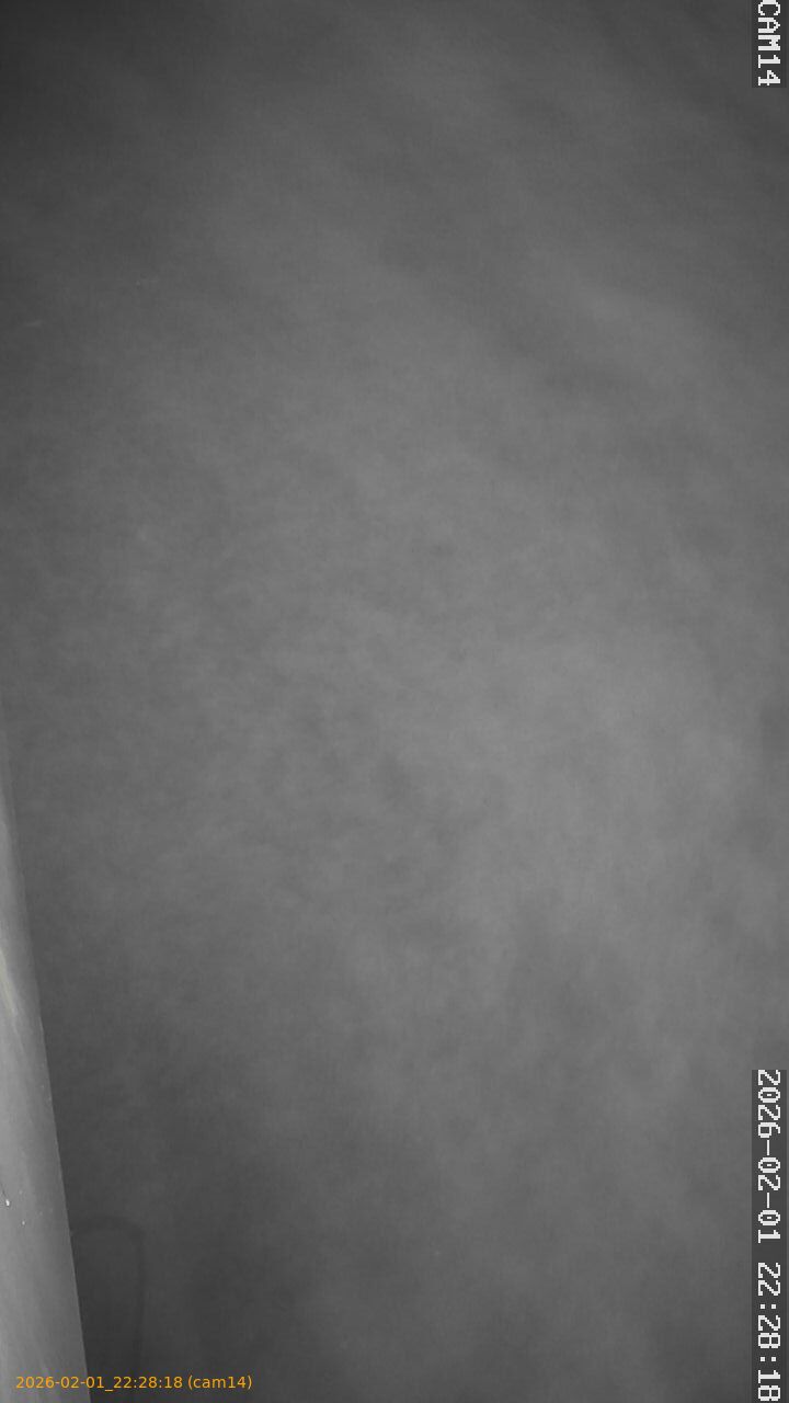 thumbnail_20260201222818