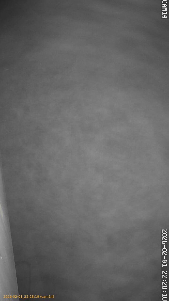 thumbnail_20260201222819