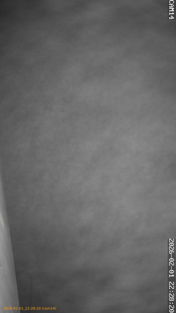 thumbnail_20260201222820