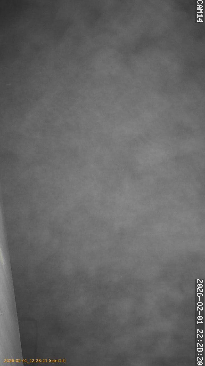 thumbnail_20260201222821