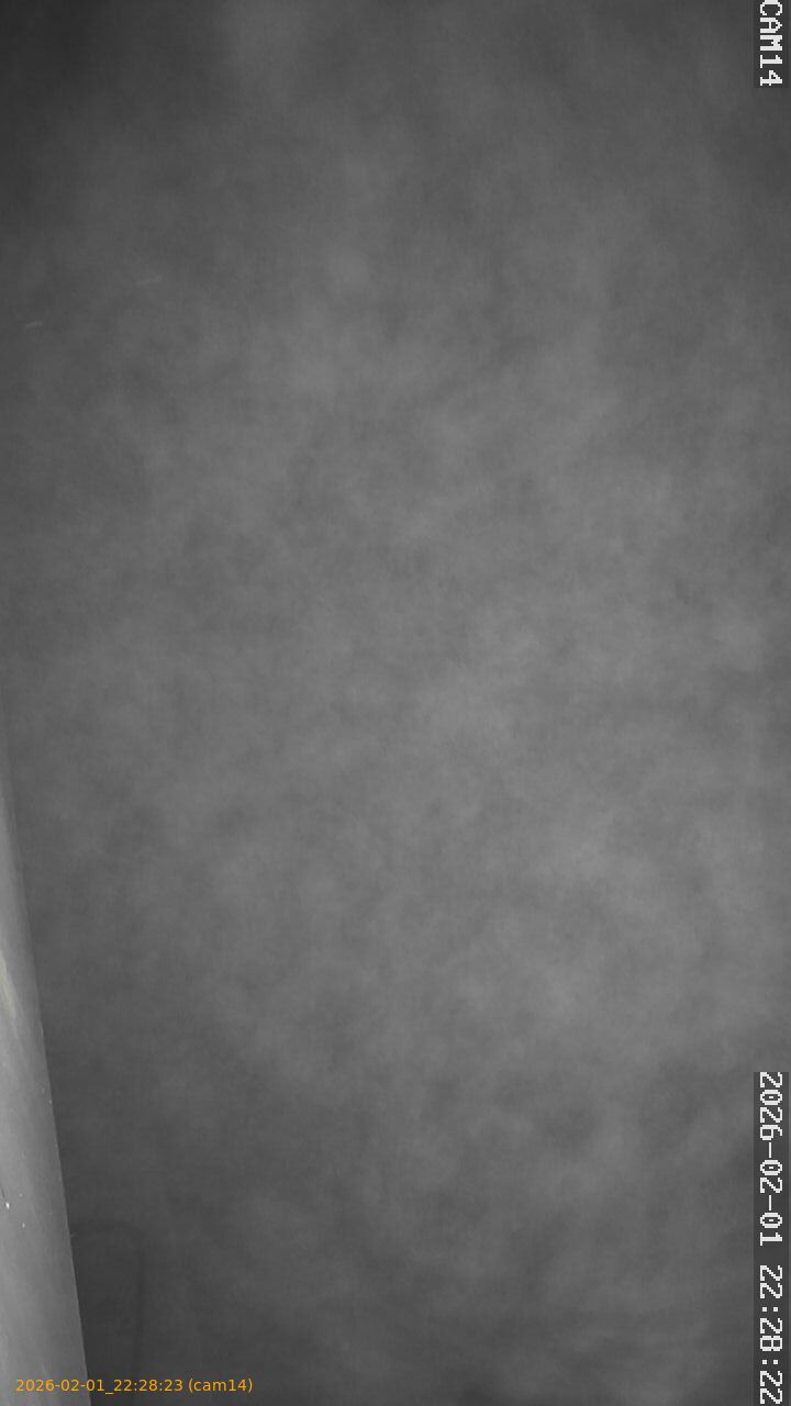 thumbnail_20260201222823