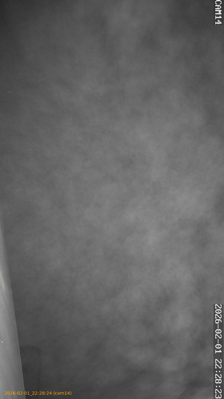 thumbnail_20260201222824