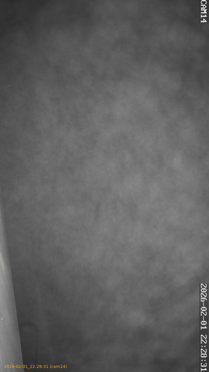 thumbnail_20260201222831