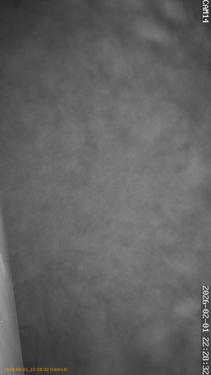 thumbnail_20260201222832