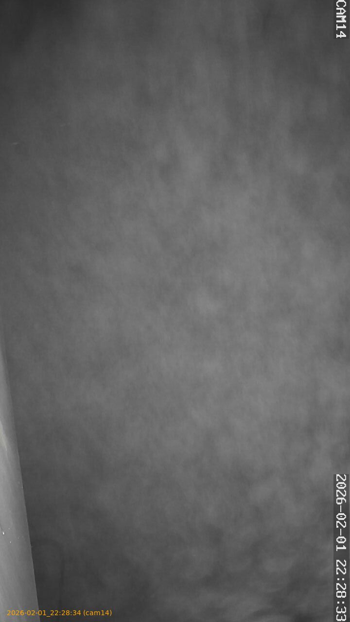 thumbnail_20260201222834