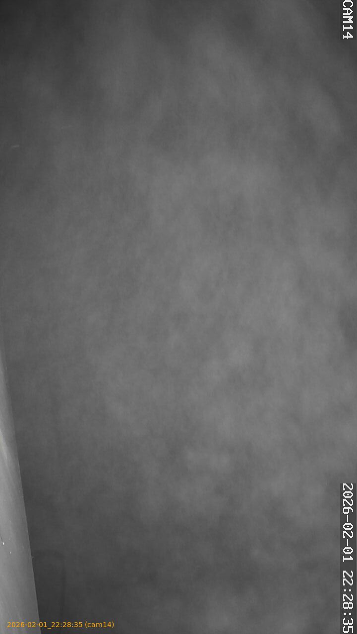 thumbnail_20260201222835