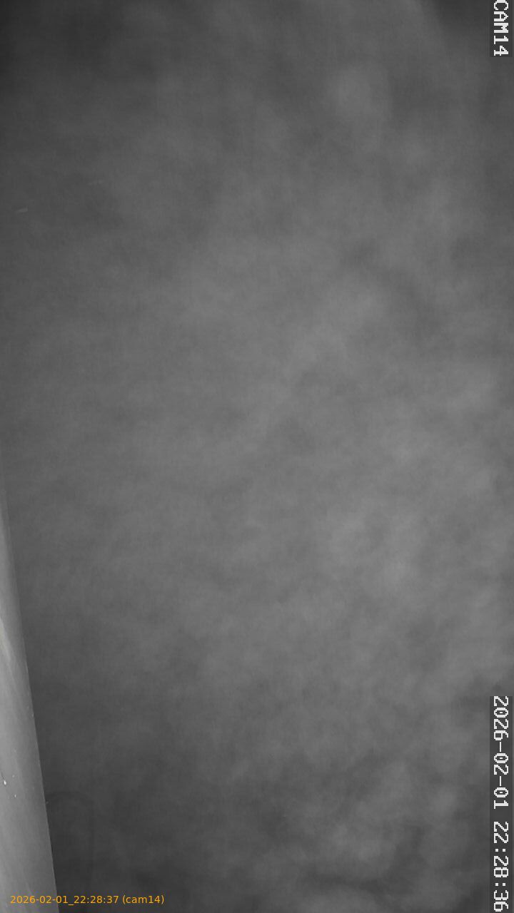 thumbnail_20260201222837