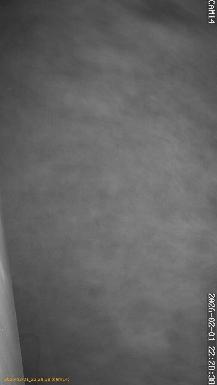 thumbnail_20260201222838