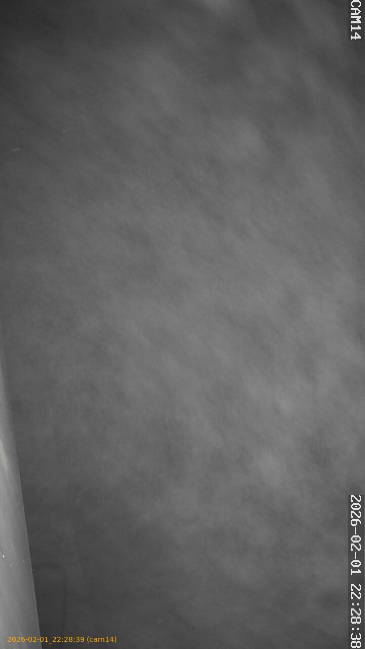 thumbnail_20260201222839