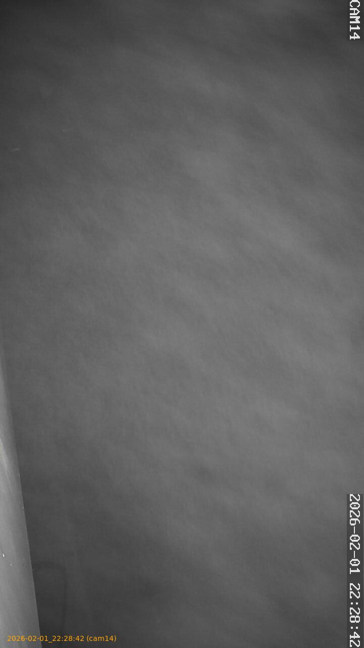 thumbnail_20260201222842