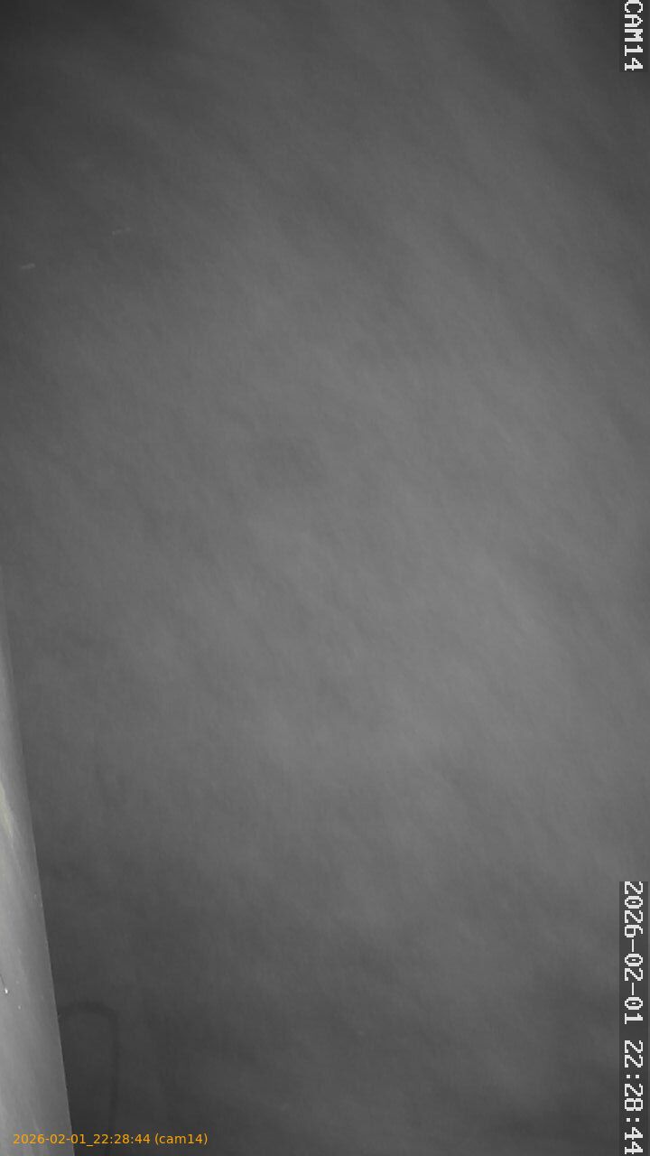 thumbnail_20260201222844