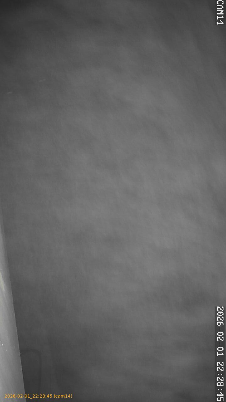 thumbnail_20260201222845