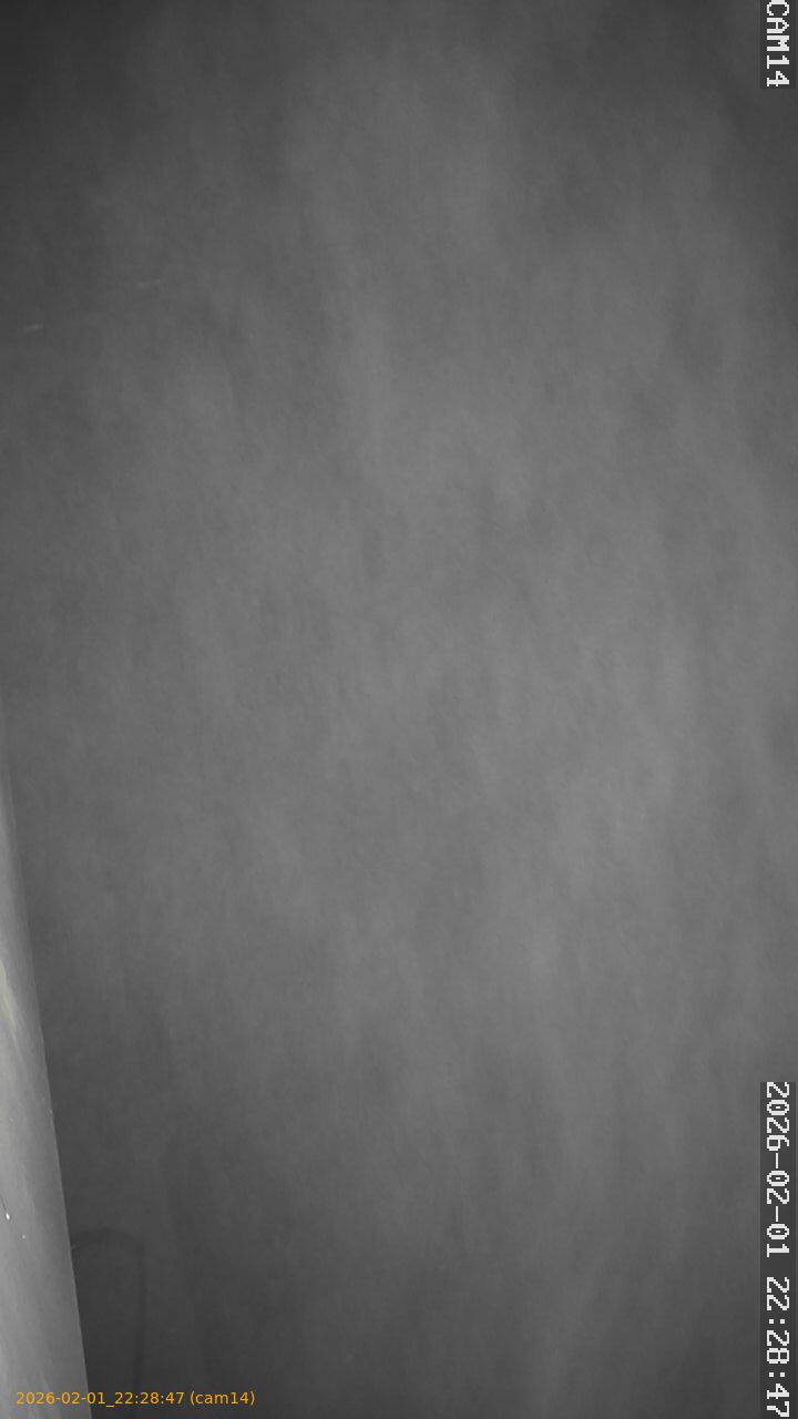 thumbnail_20260201222847