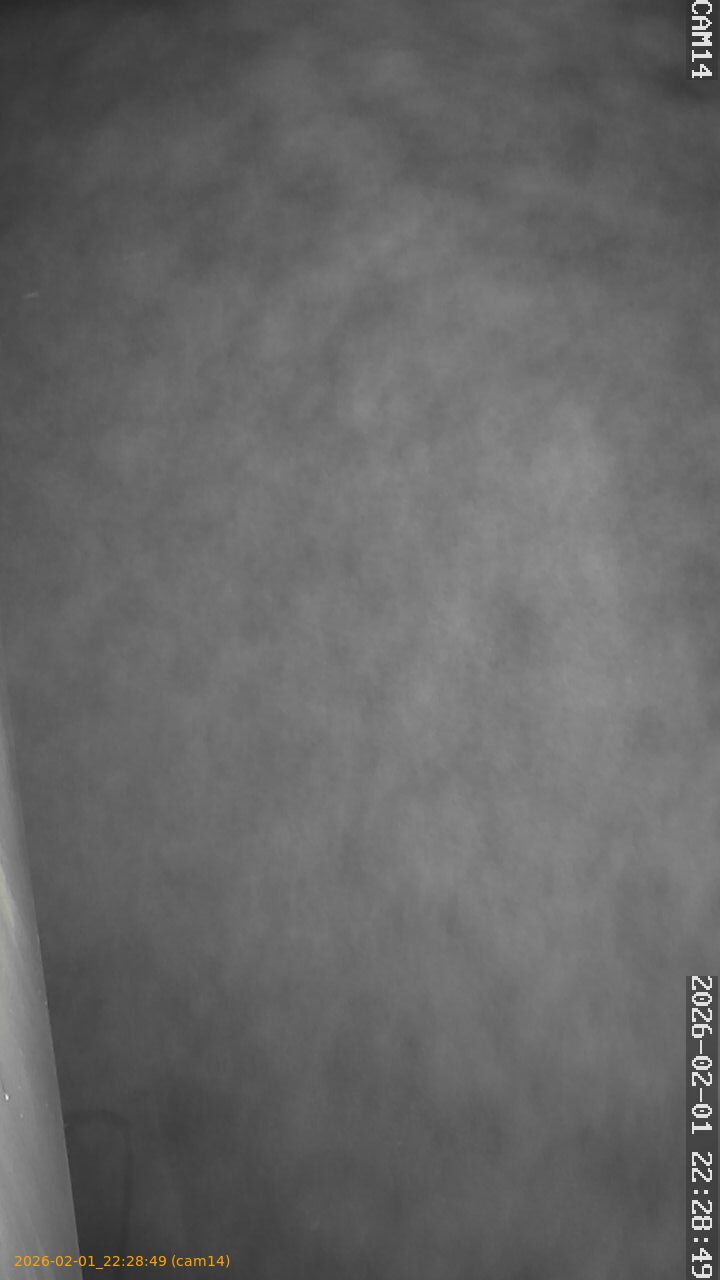 thumbnail_20260201222849