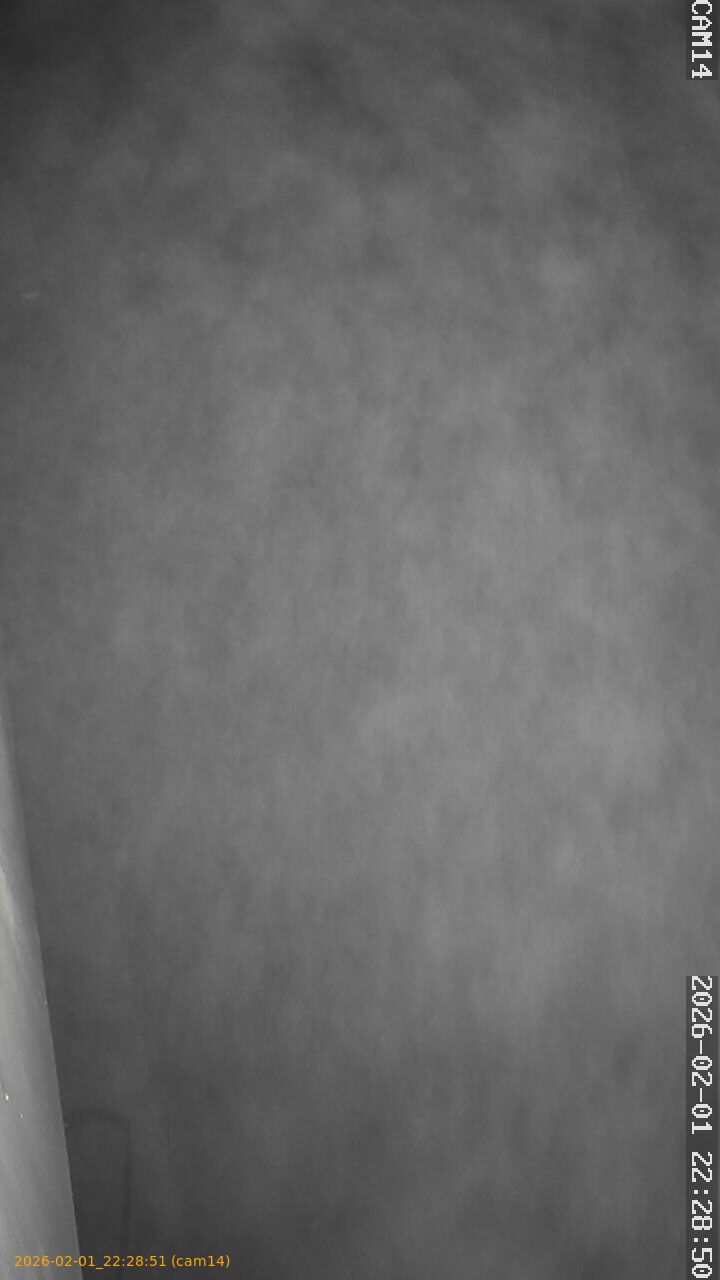 thumbnail_20260201222851