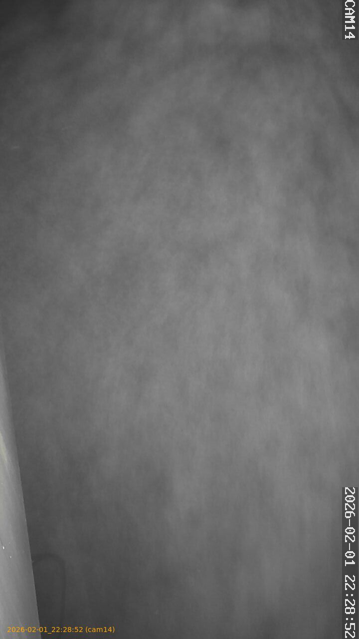 thumbnail_20260201222852