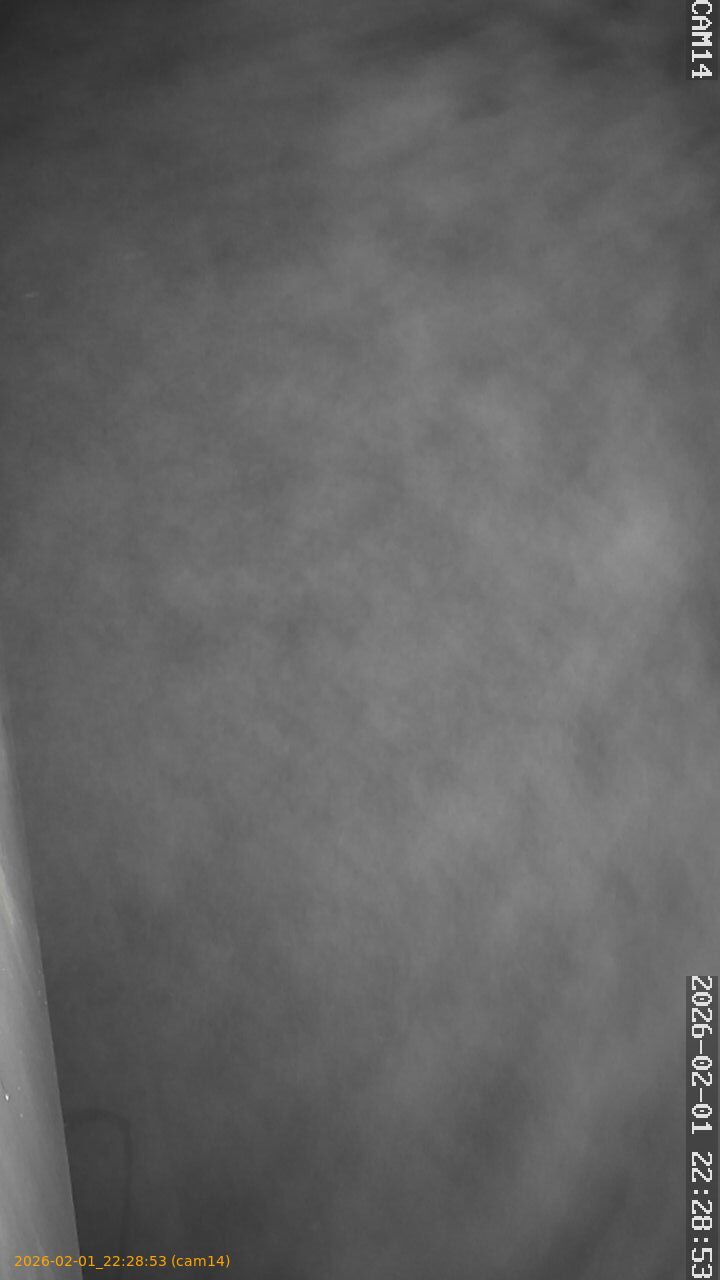 thumbnail_20260201222853