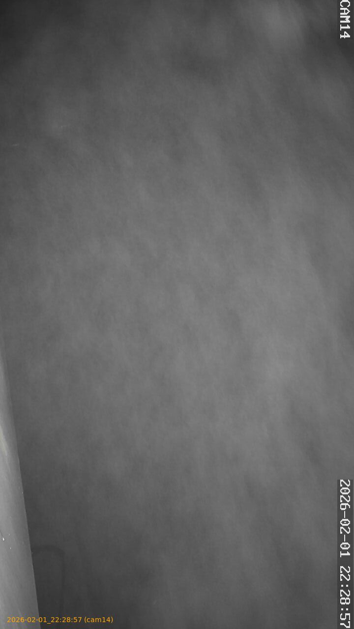 thumbnail_20260201222857