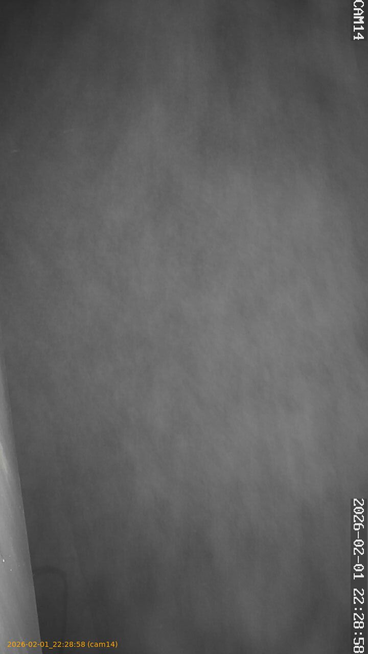 thumbnail_20260201222858