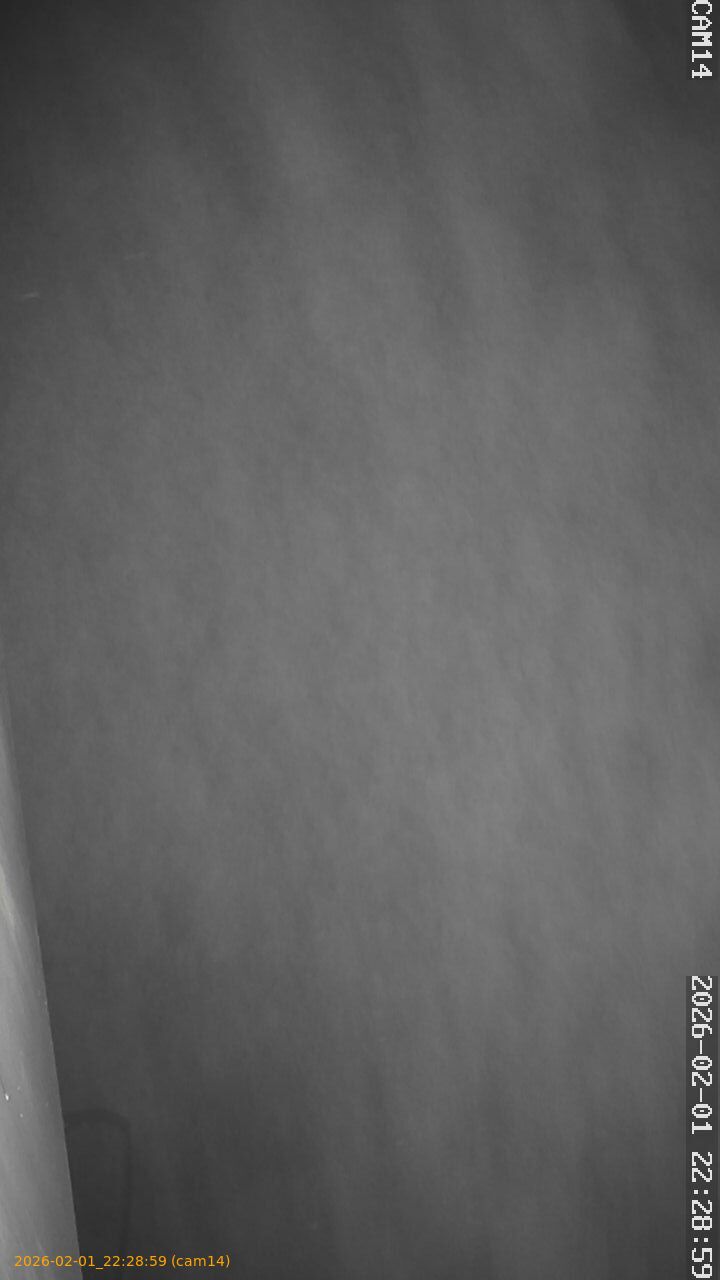 thumbnail_20260201222859