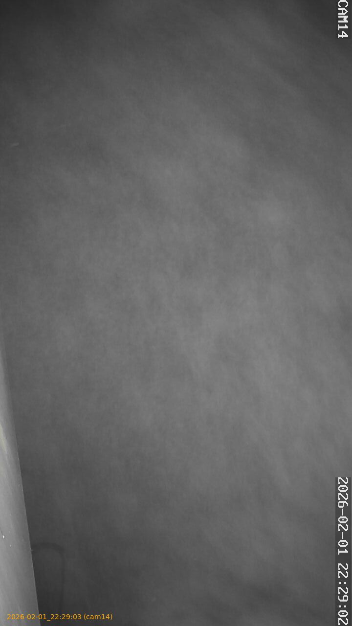 thumbnail_20260201222903