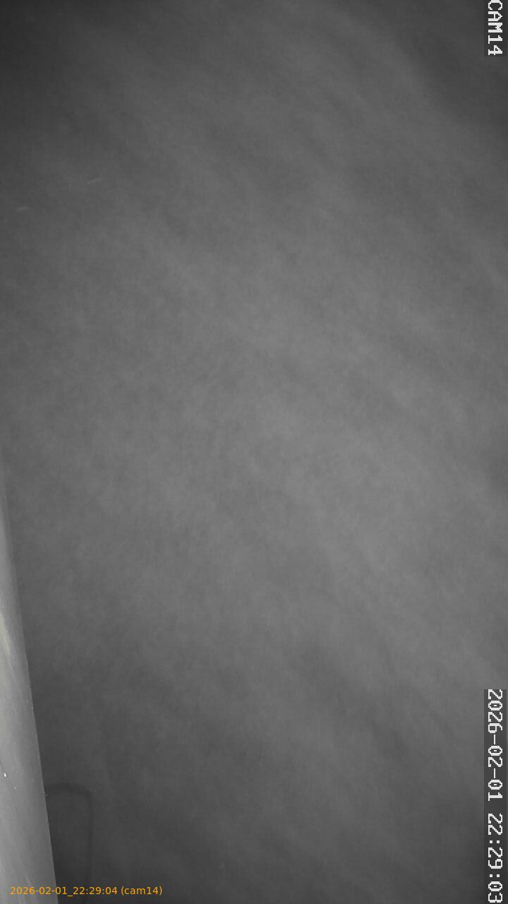 thumbnail_20260201222904