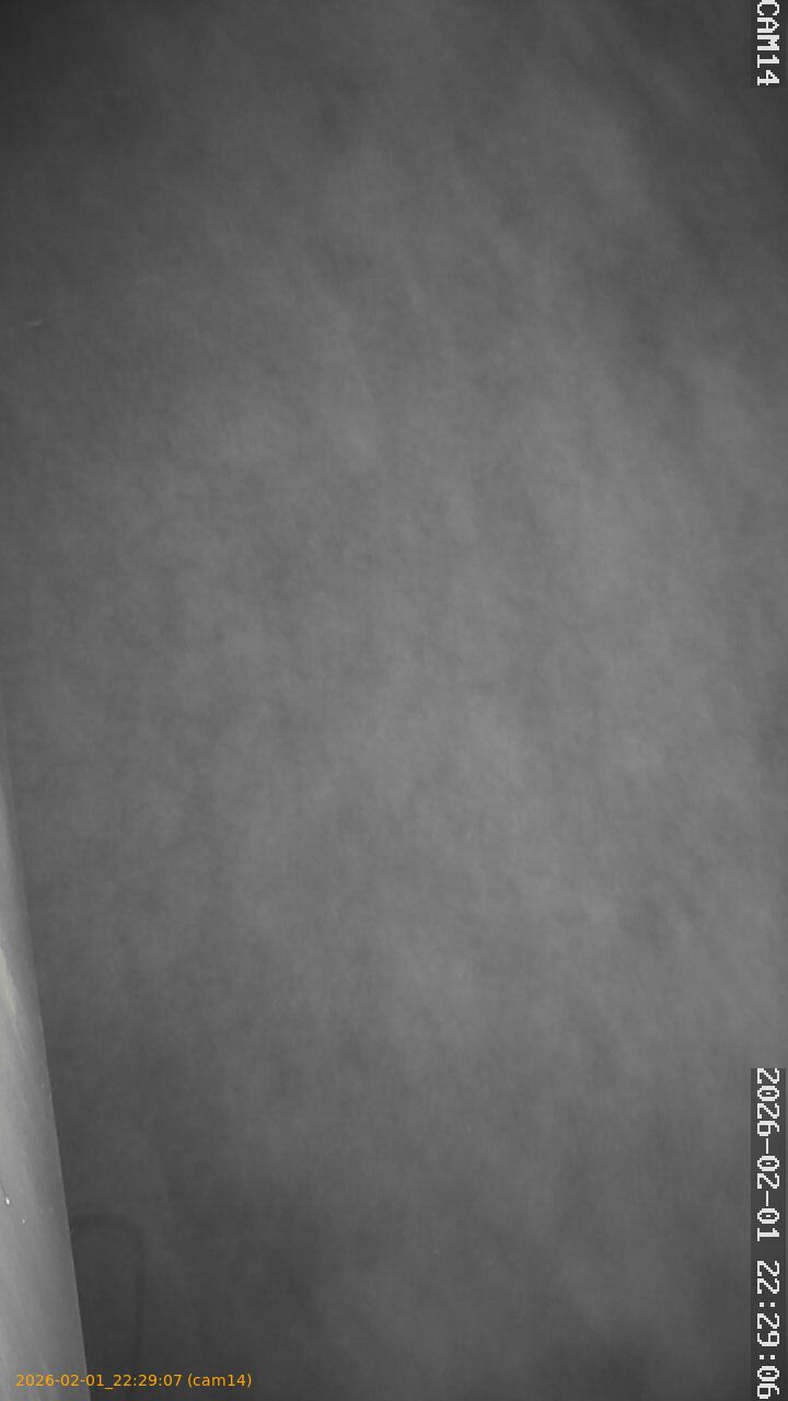 thumbnail_20260201222907