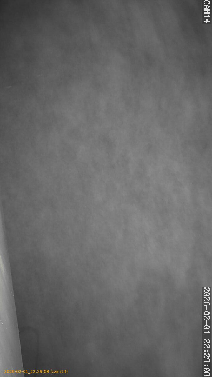 thumbnail_20260201222909