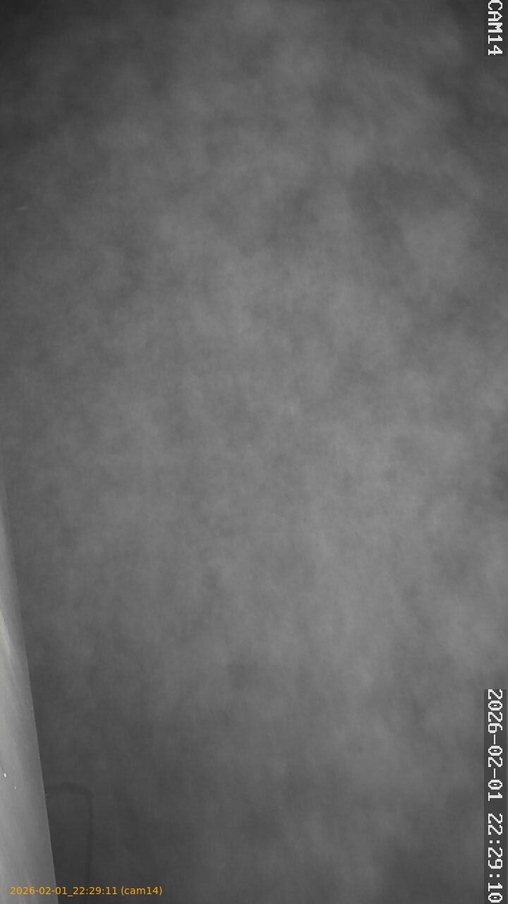 thumbnail_20260201222911