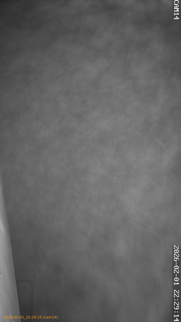 thumbnail_20260201222915