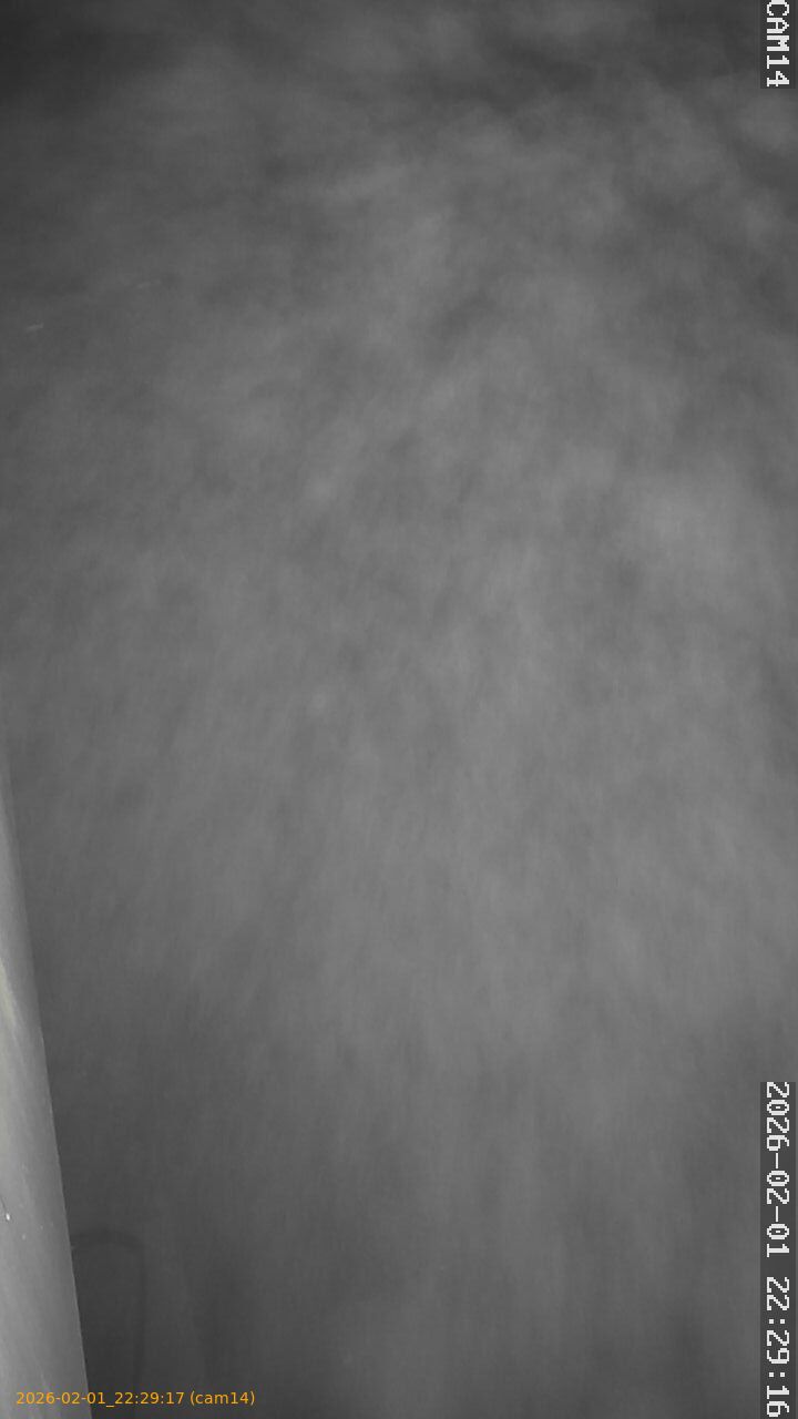 thumbnail_20260201222917