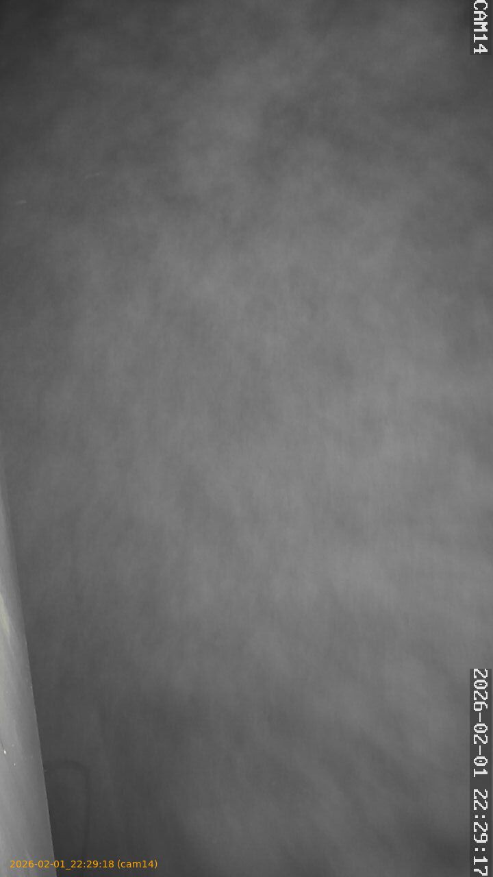 thumbnail_20260201222918