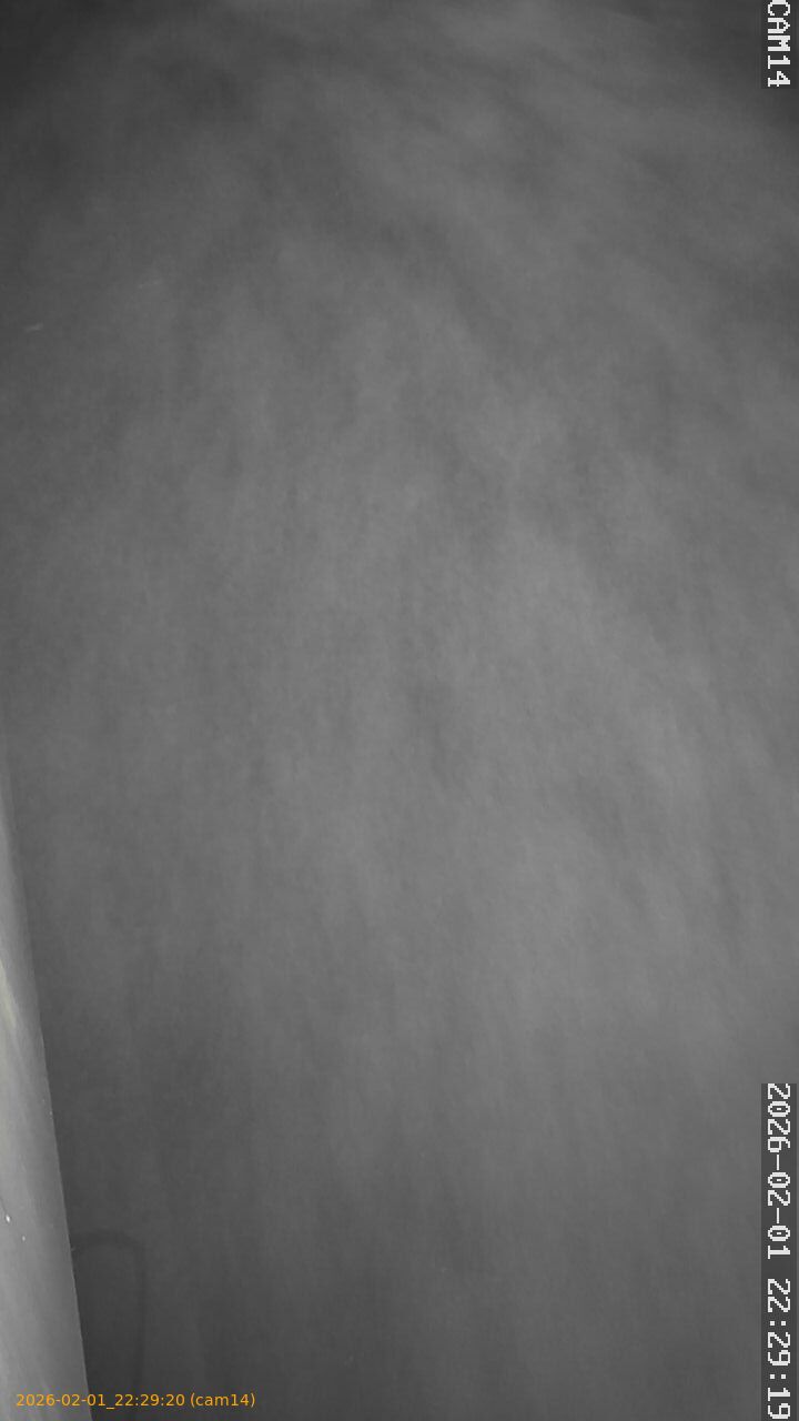 thumbnail_20260201222920