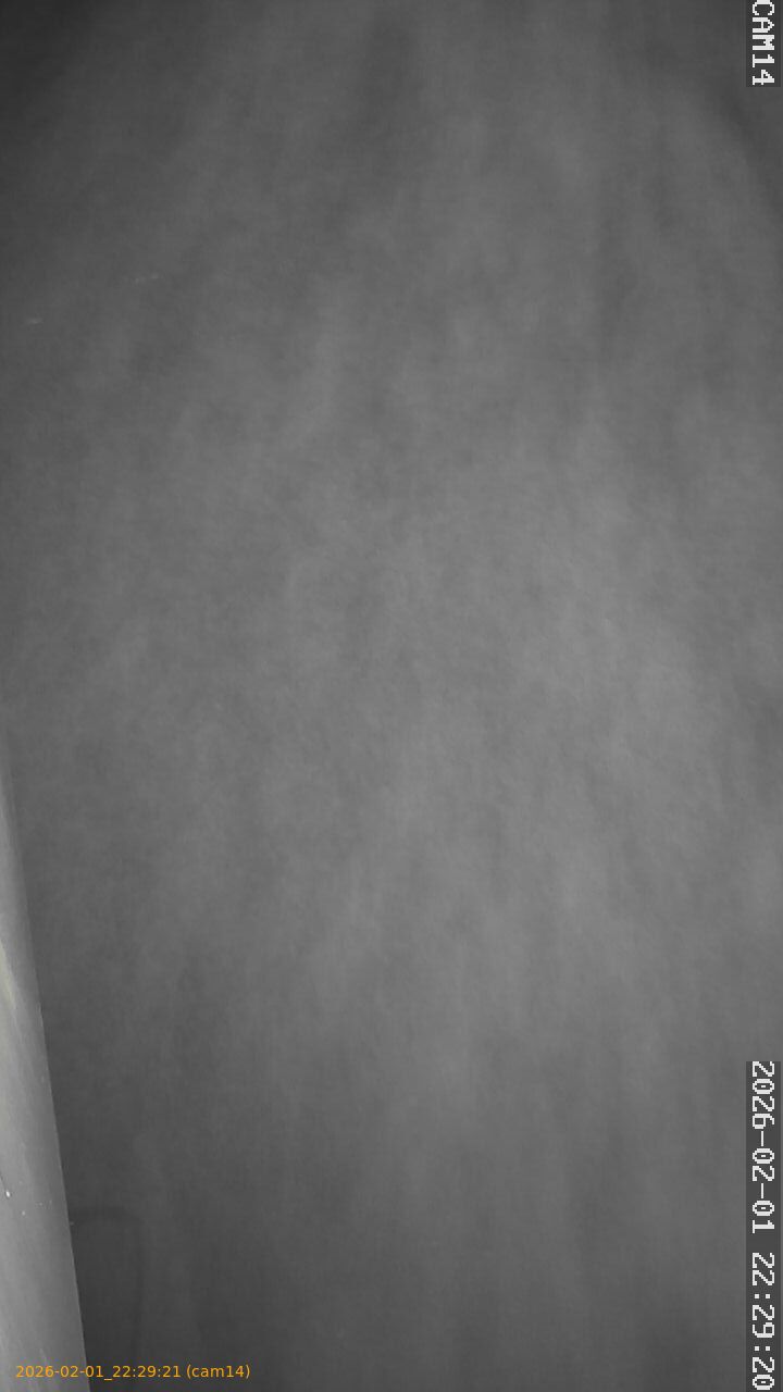 thumbnail_20260201222921