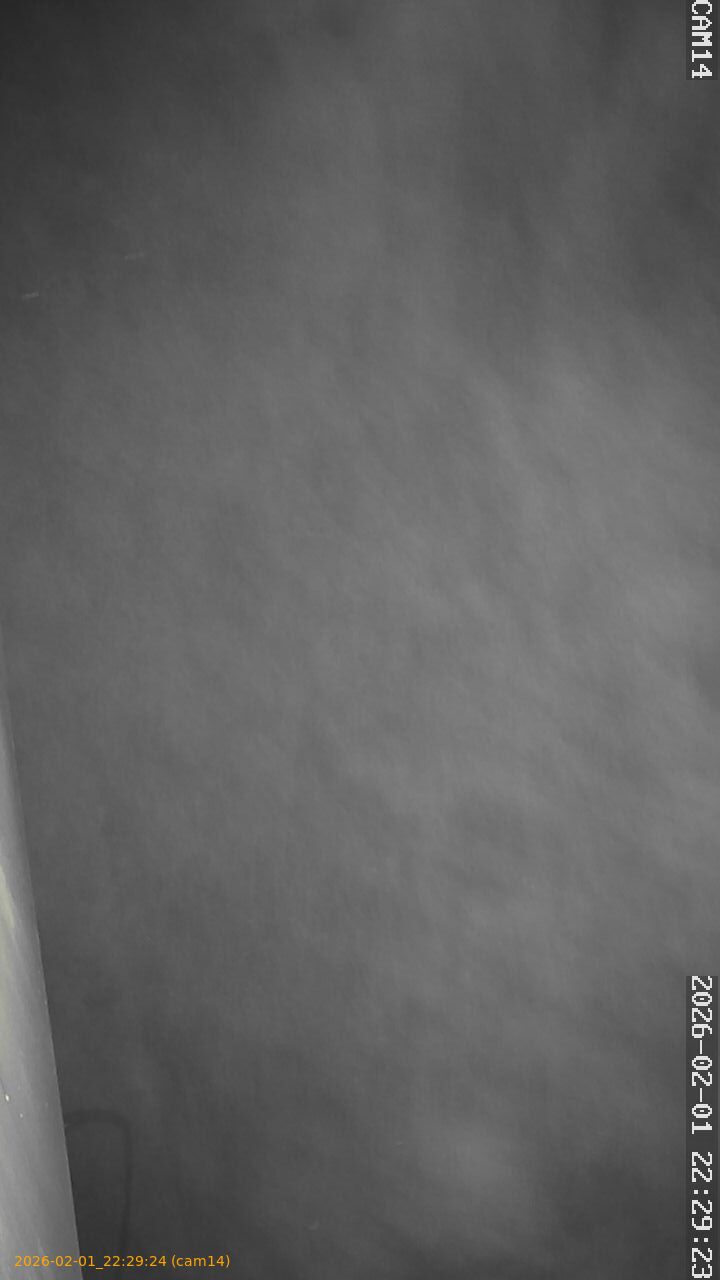 thumbnail_20260201222924