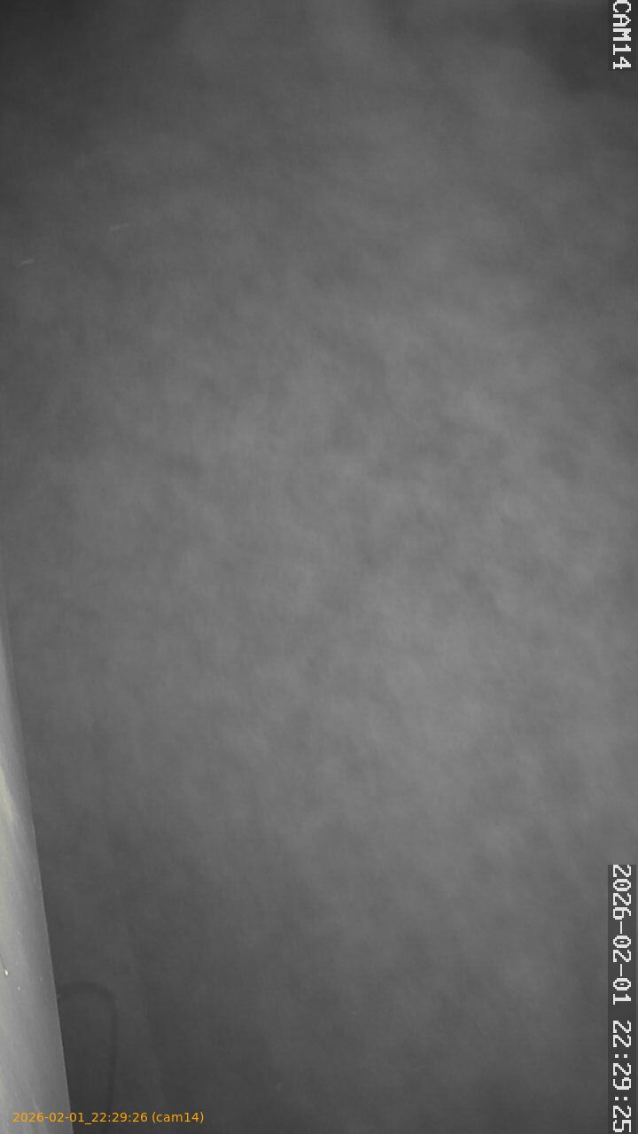 thumbnail_20260201222926